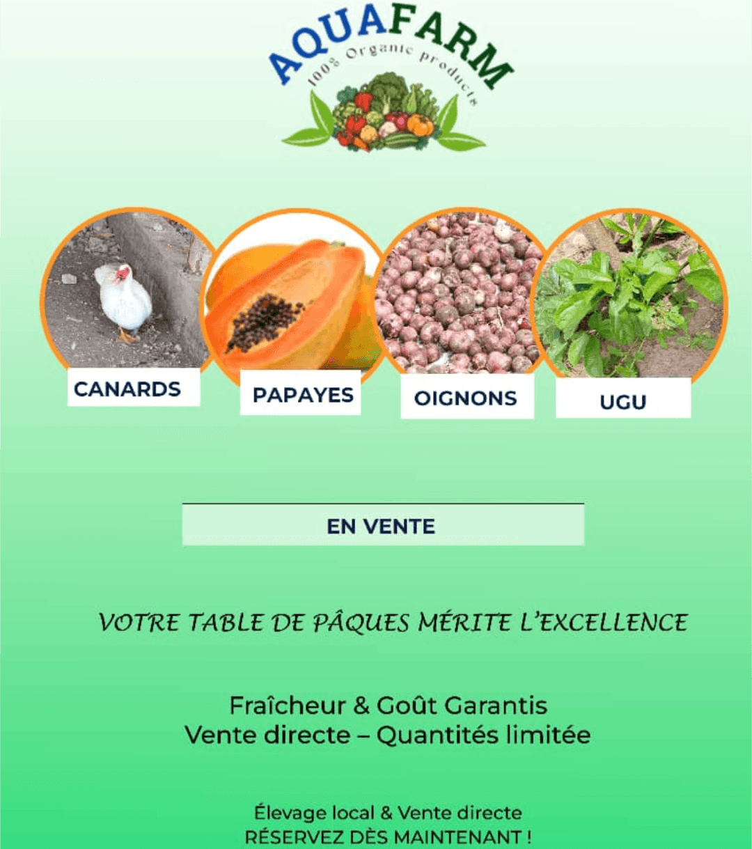 Légumes bio